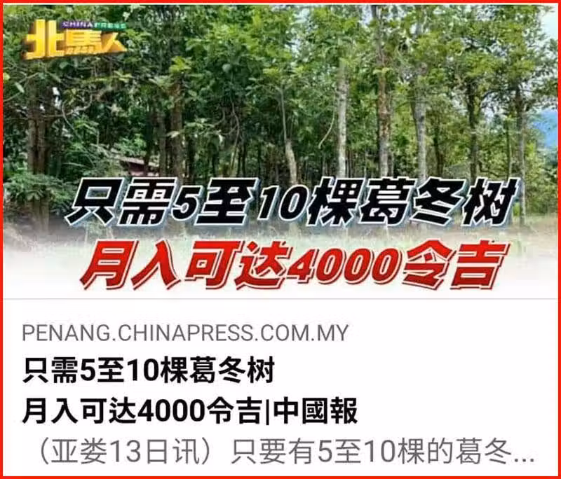 /www/bananadaily.net/web/images/image/2201/22011994.avif